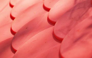 Bents plastic roof costs