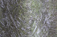 Bents fibreglass roof work